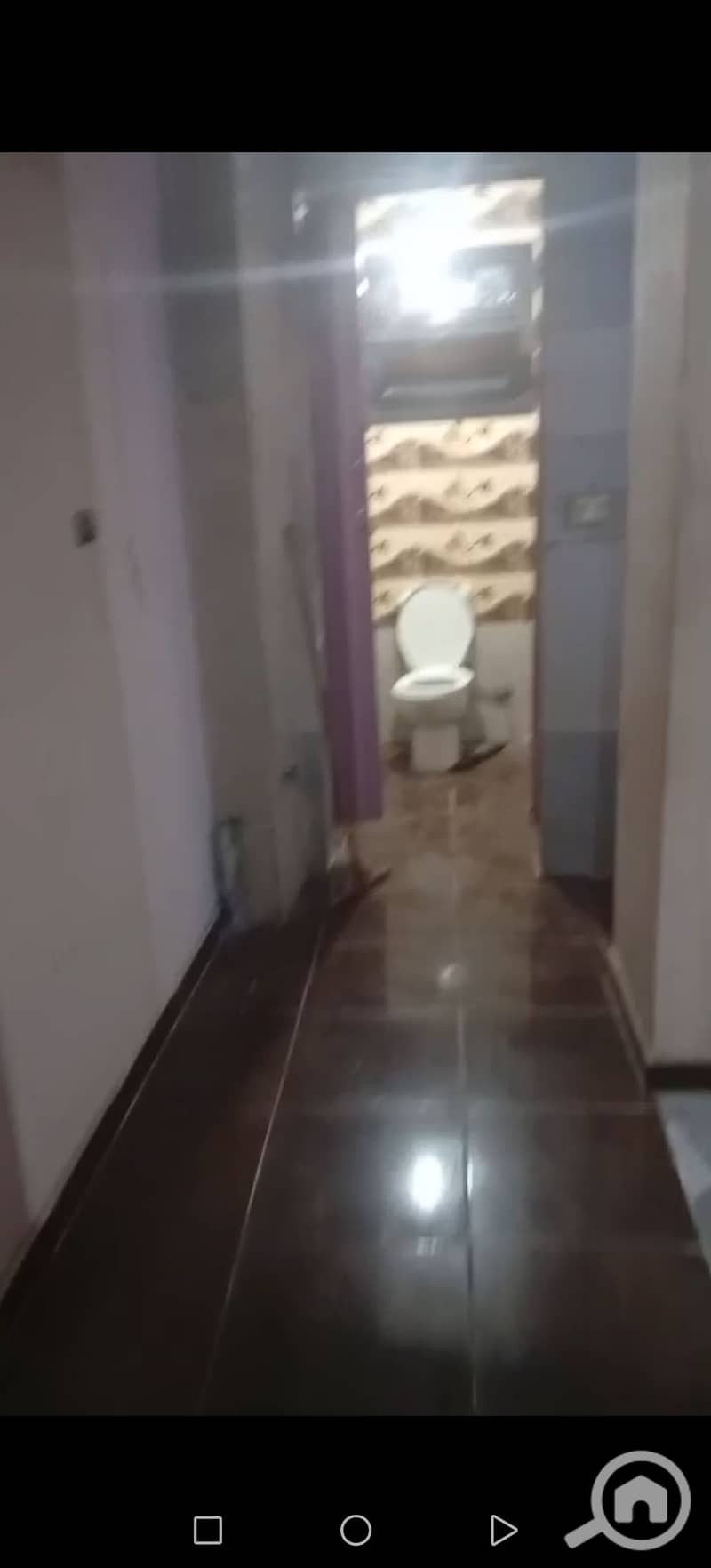 2 229505. jpg