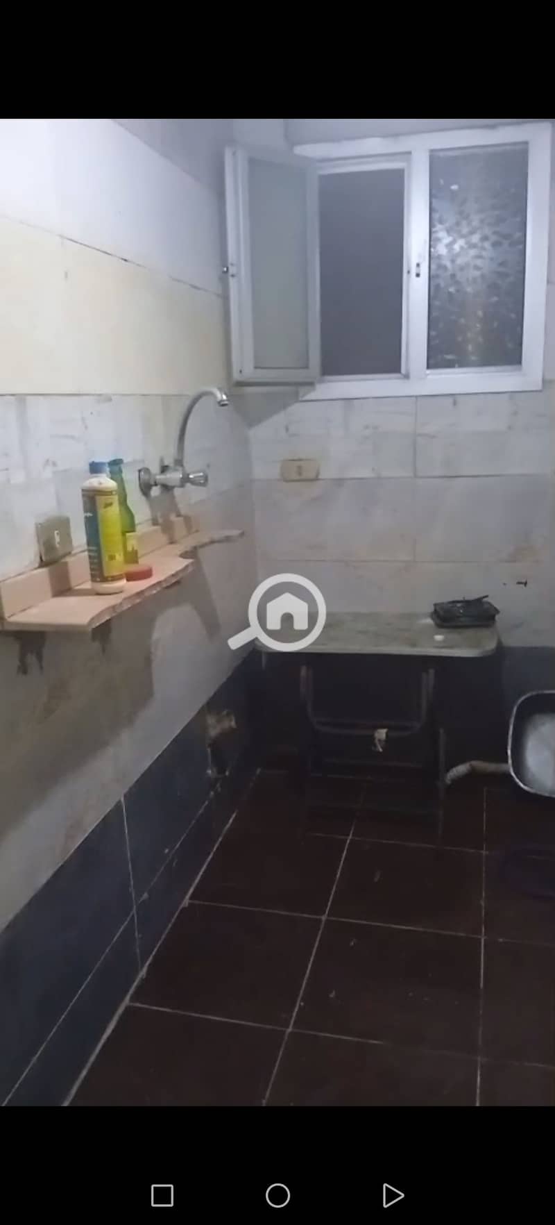 3 229508. jpg