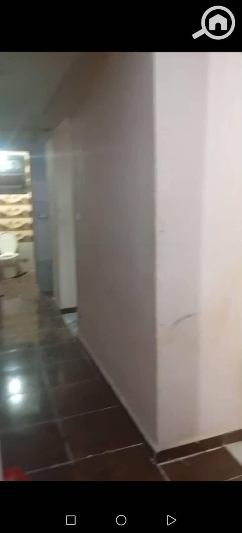 4 229501. jpg