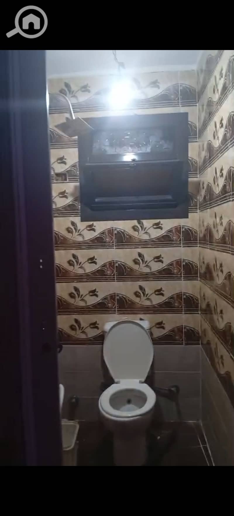 5 229497. jpg