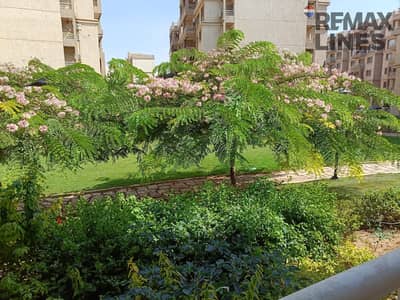 3 Bedroom Apartment for Rent in Madinaty, Cairo - 1000333795. jpg