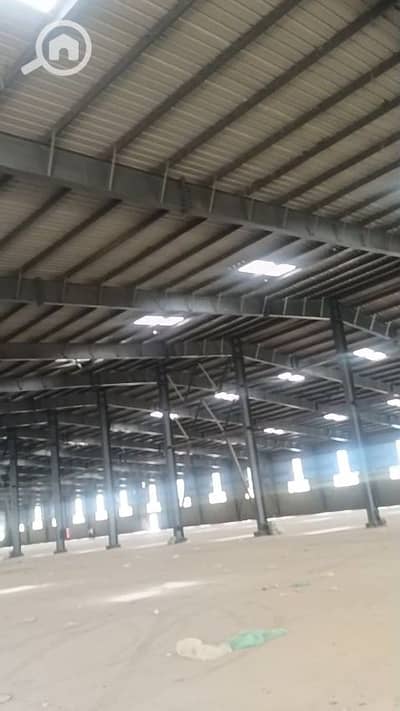 Factory for Sale in 10th of Ramadan, Sharqia - 1000680480. jpg