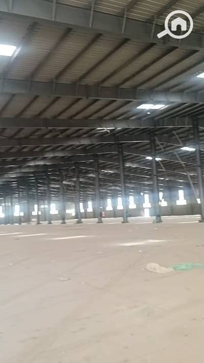 Factory for Rent in 10th of Ramadan, Sharqia - 1000680483. jpg