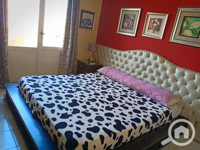 1 Bedroom Room for Rent in New Cairo, Cairo - 1001136404. jpg 1 Bedroom Room for Rent in New Cairo, Cairo - 1001136404. jpg