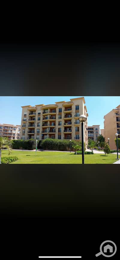 3 Bedroom Apartment for Rent in New Cairo, Cairo - IMG_8008. png 3 Bedroom Apartment for Rent in New Cairo, Cairo - IMG_8008. png