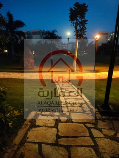 2 Bedroom Flat for Rent in Madinaty, Cairo - 1000377389. jpg 2 Bedroom Flat for Rent in Madinaty, Cairo - 1000377389. jpg