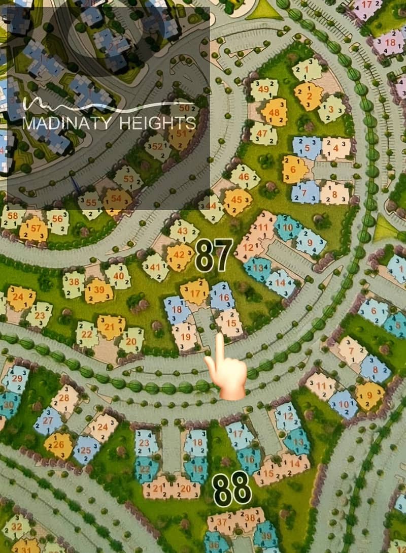 2 137376. jpg