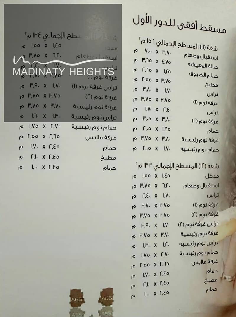 3 137390. jpg