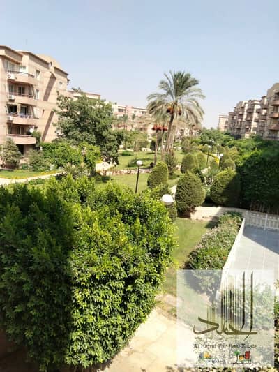 شقة 3 غرف نوم للبيع في القاهرة الجديدة، القاهرة - 1000951187. jpg شقة 3 غرف نوم للبيع في القاهرة الجديدة، القاهرة - 1000951187. jpg