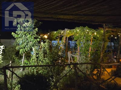 Agricultural Land for Sale in Wadi al-Natrun, Beheira - 51261. jpg