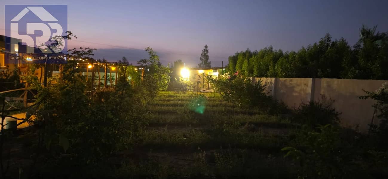 39 51031. jpg