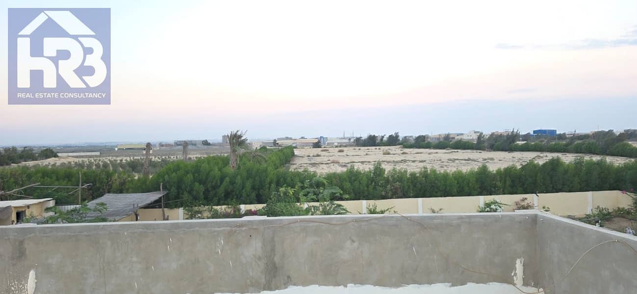 46 51175. jpg