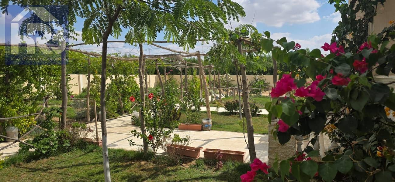63 51135. jpg