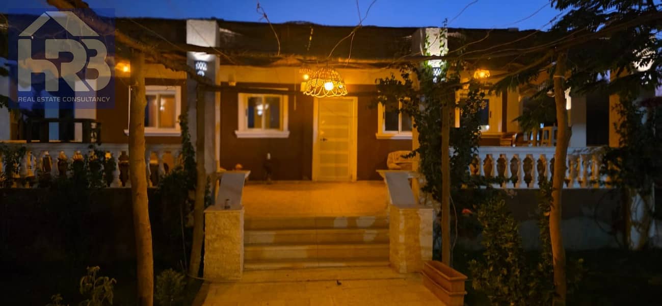 88 51197. jpg