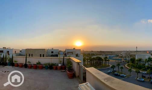 1 Bedroom Apartment for Rent in Sheikh Zayed, Giza - 95722b5d-c3a1-4152-8c2a-2ca691cc6d38. jpg