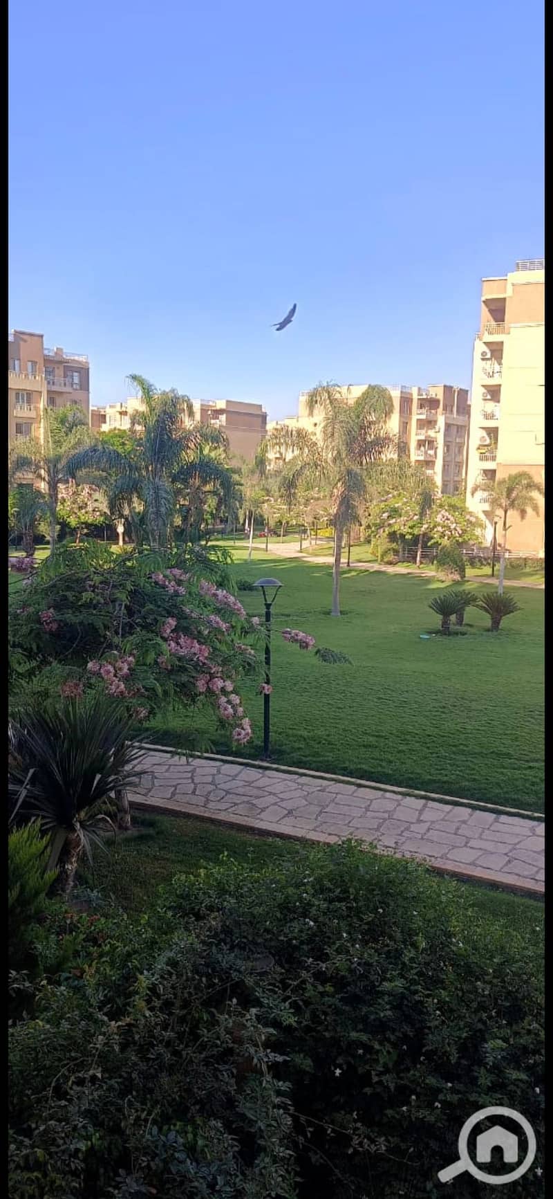 5 38115. jpg