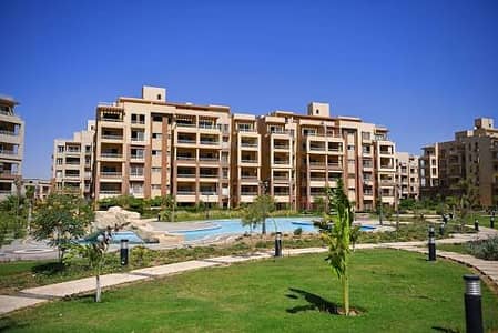 2 Bedroom Apartment for Sale in 6th of October, Giza - فرصة حقيقية من المالك مباشرة – شقة 130م للبيع في كمبوند جاردن هيلز 6 أ 2 Bedroom Apartment for Sale in 6th of October, Giza - فرصة حقيقية من المالك مباشرة – شقة 130م للبيع في كمبوند جاردن هيلز 6 أ