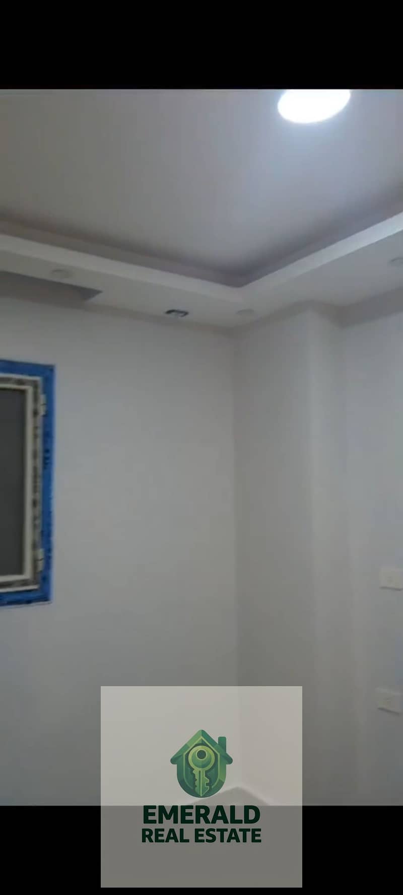 10 1000710282. jpg