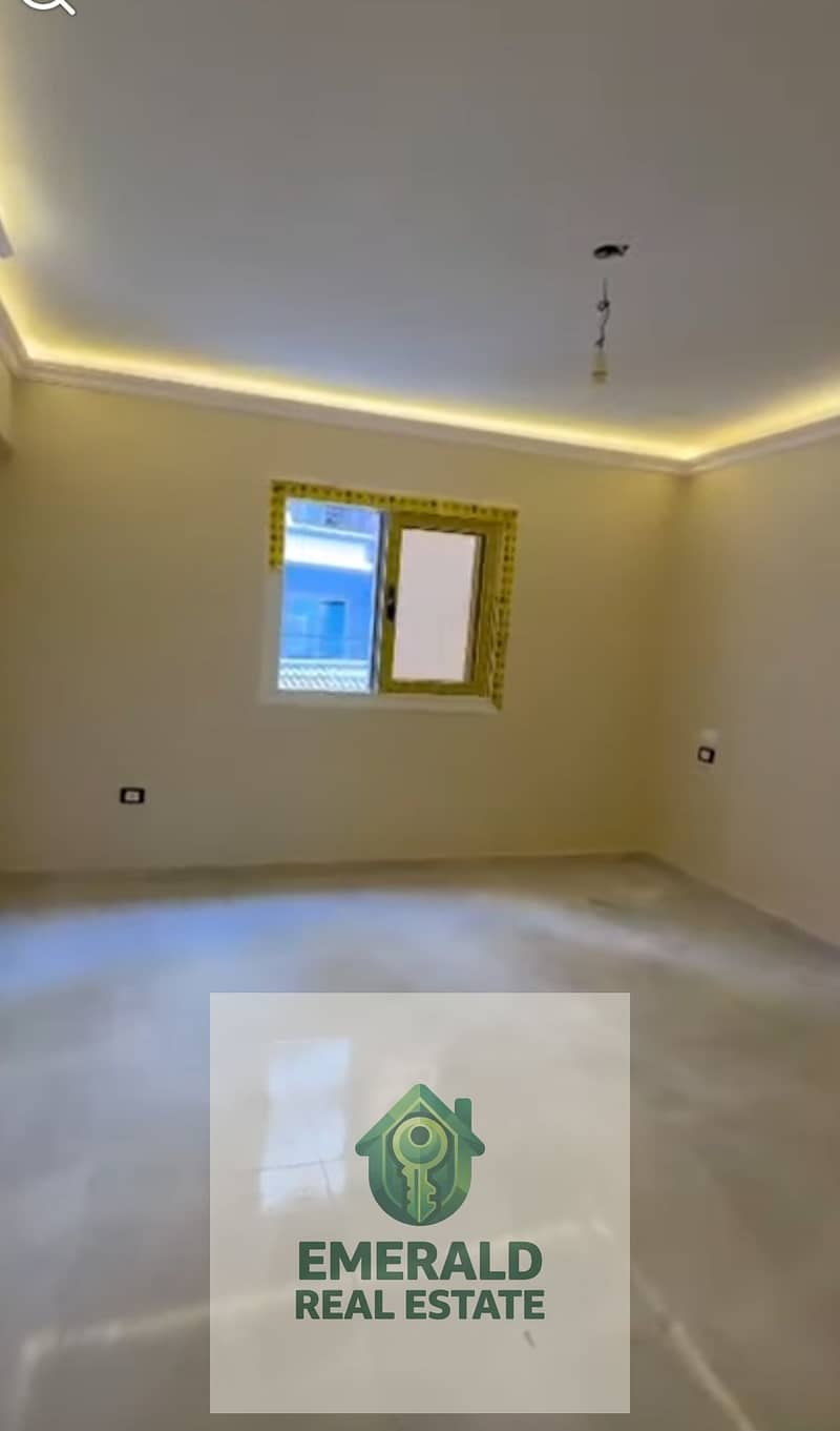 13 1000709241. jpg