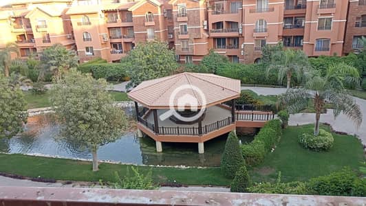 3 Bedroom Flat for Sale in Sheikh Zayed, Giza - WhatsApp Image 2026-09-26 at 6.35. 20 PM. jpeg 3 Bedroom Flat for Sale in Sheikh Zayed, Giza - WhatsApp Image 2026-09-26 at 6.35. 20 PM. jpeg
