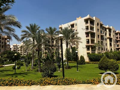 فلیٹ 3 غرف نوم للبيع في القاهرة الجديدة، القاهرة - 664201. jpg فلیٹ 3 غرف نوم للبيع في القاهرة الجديدة، القاهرة - 664201. jpg