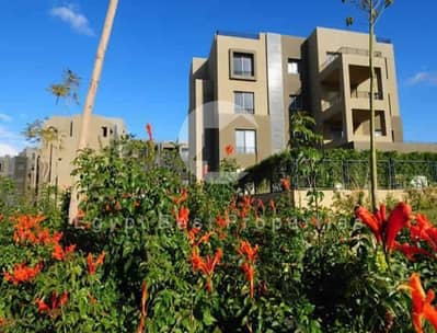 2 Bedroom Apartment for Sale in 6th of October, Giza - 4b4d8329-8c34-4d0c-a5b4-0f91167be5da. jpg 2 Bedroom Apartment for Sale in 6th of October, Giza - 4b4d8329-8c34-4d0c-a5b4-0f91167be5da. jpg
