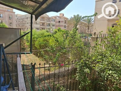 3 Bedroom Apartment for Rent in New Cairo, Cairo - 128339. jpg 3 Bedroom Apartment for Rent in New Cairo, Cairo - 128339. jpg