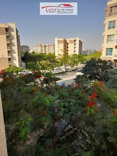 3 Bedroom Flat for Sale in Madinaty, Cairo - WhatsApp Image 2026-09-25 at 4.47. 29 PM (1). jpeg 3 Bedroom Flat for Sale in Madinaty, Cairo - WhatsApp Image 2026-09-25 at 4.47. 29 PM (1). jpeg