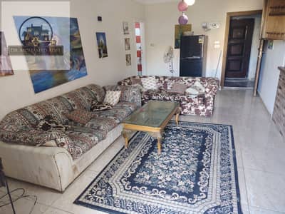 شقة 2 غرفة نوم للايجار في عجمي، الإسكندرية - 250665. jpg شقة 2 غرفة نوم للايجار في عجمي، الإسكندرية - 250665. jpg