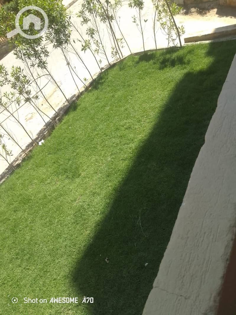 7 1000171569. jpg