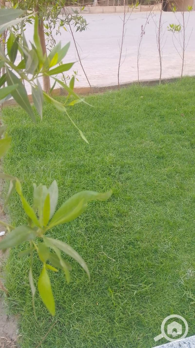 8 1000171567. jpg
