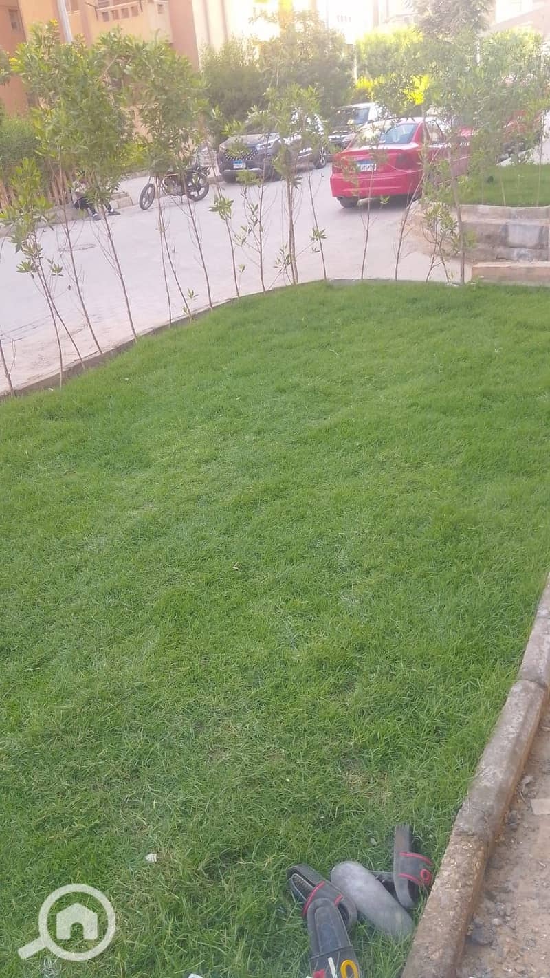 10 1000171563. jpg