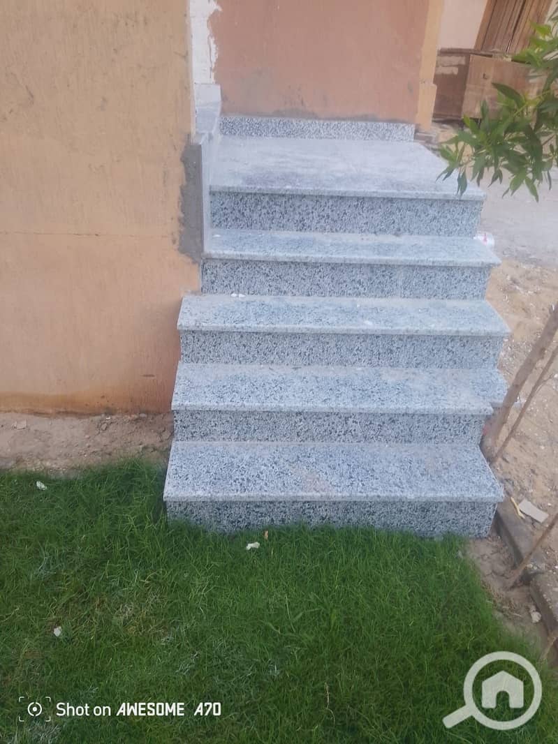 11 1000171565. jpg