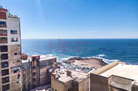3 Bedroom Apartment for Rent in Cleopatra, Alexandria - Gemini_Generated_Image_1wroan1wroan1wro copy. jpg 3 Bedroom Apartment for Rent in Cleopatra, Alexandria - Gemini_Generated_Image_1wroan1wroan1wro copy. jpg