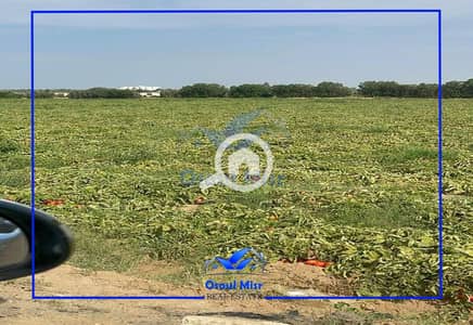 Agricultural Land for Sale in 6th of October, Giza - 24. png Agricultural Land for Sale in 6th of October, Giza - 24. png