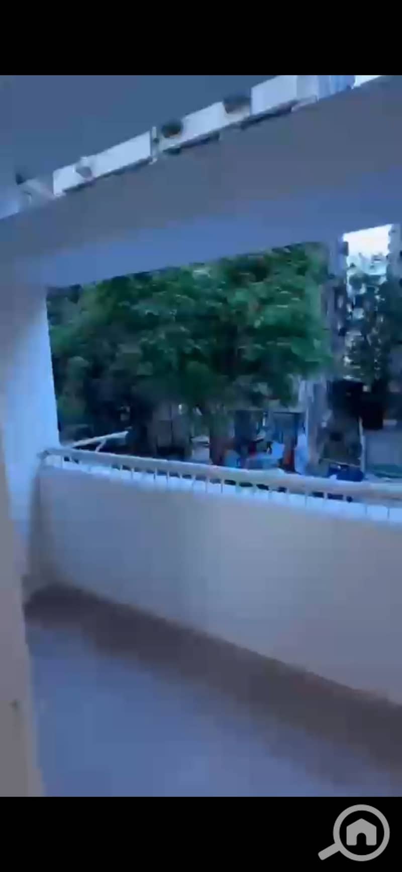 3 33273. jpg