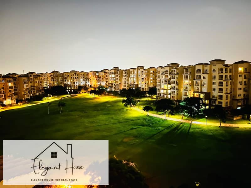 8 488412. jpg