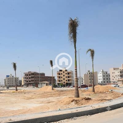 Land for Sale in New Cairo, Cairo - IMG-20260923-WA0002. jpg