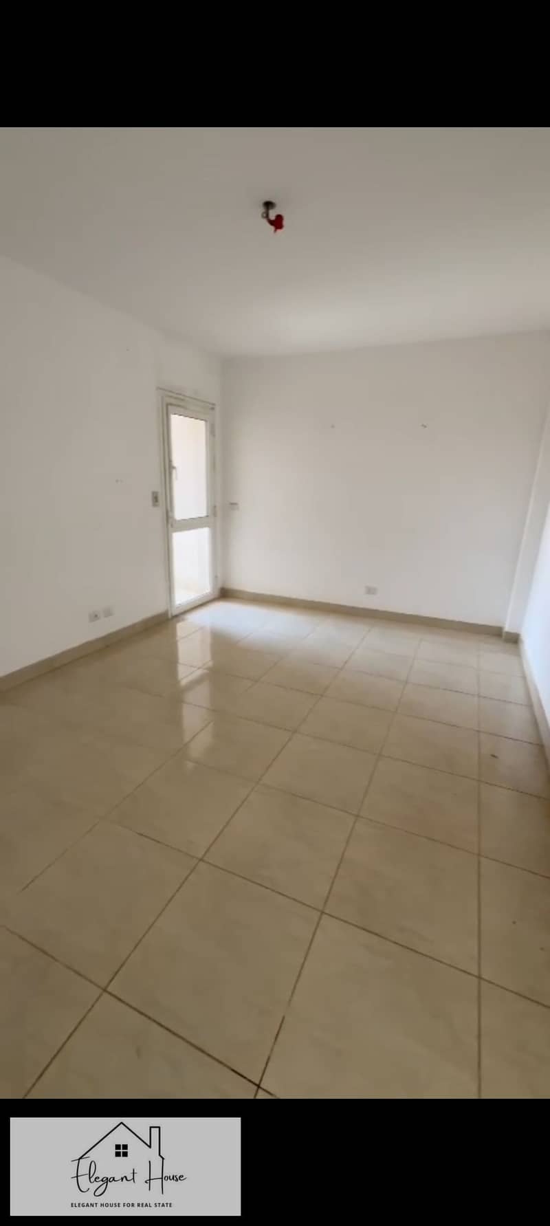 4 488468. jpg