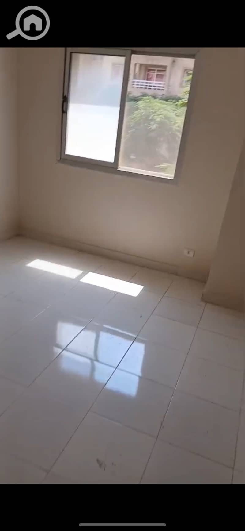 3 1000969923. jpg