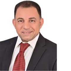 Sultan Metwally Mahmoud