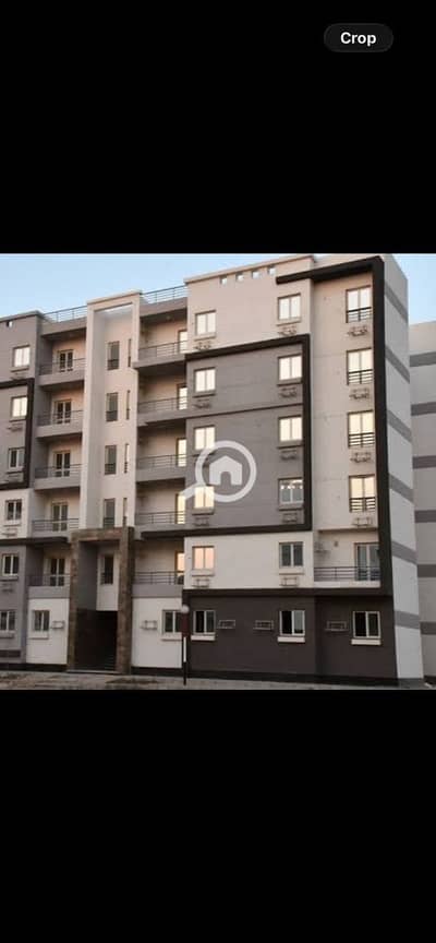 3 Bedroom Apartment for Sale in New Cairo, Cairo - 1000269146. jpg