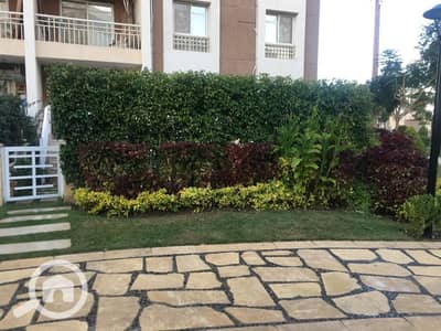 2 Bedroom Apartment for Rent in Madinaty, Cairo - 1000958365. jpg 2 Bedroom Apartment for Rent in Madinaty, Cairo - 1000958365. jpg