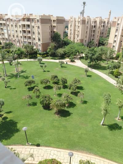 2 Bedroom Flat for Sale in Madinaty, Cairo - 1000089953. jpg 2 Bedroom Flat for Sale in Madinaty, Cairo - 1000089953. jpg