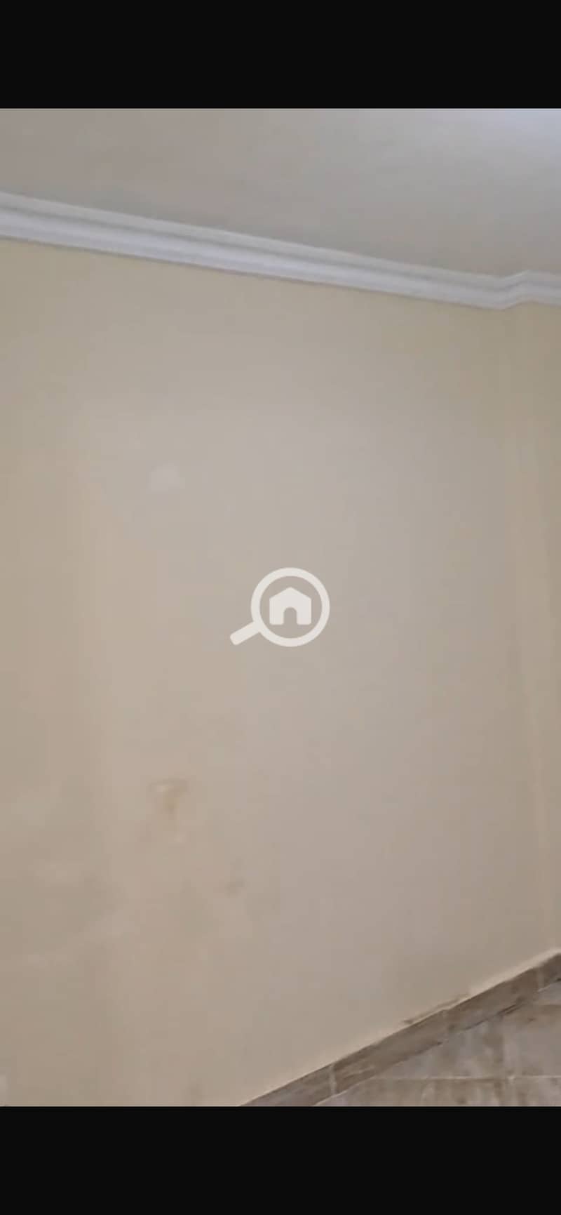 12 IMG_3010. png