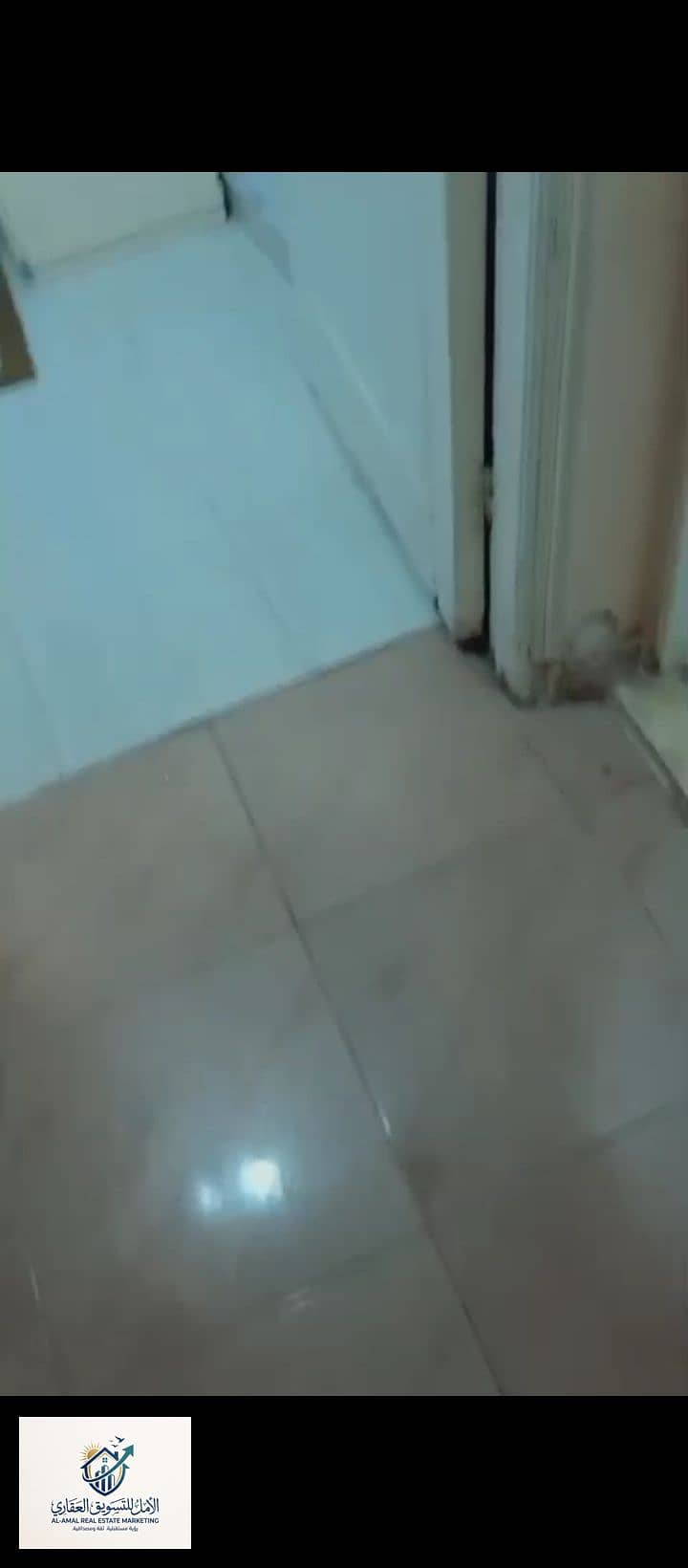 7 1000288051. jpg