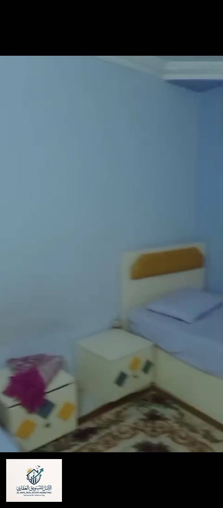 11 1000288059. jpg