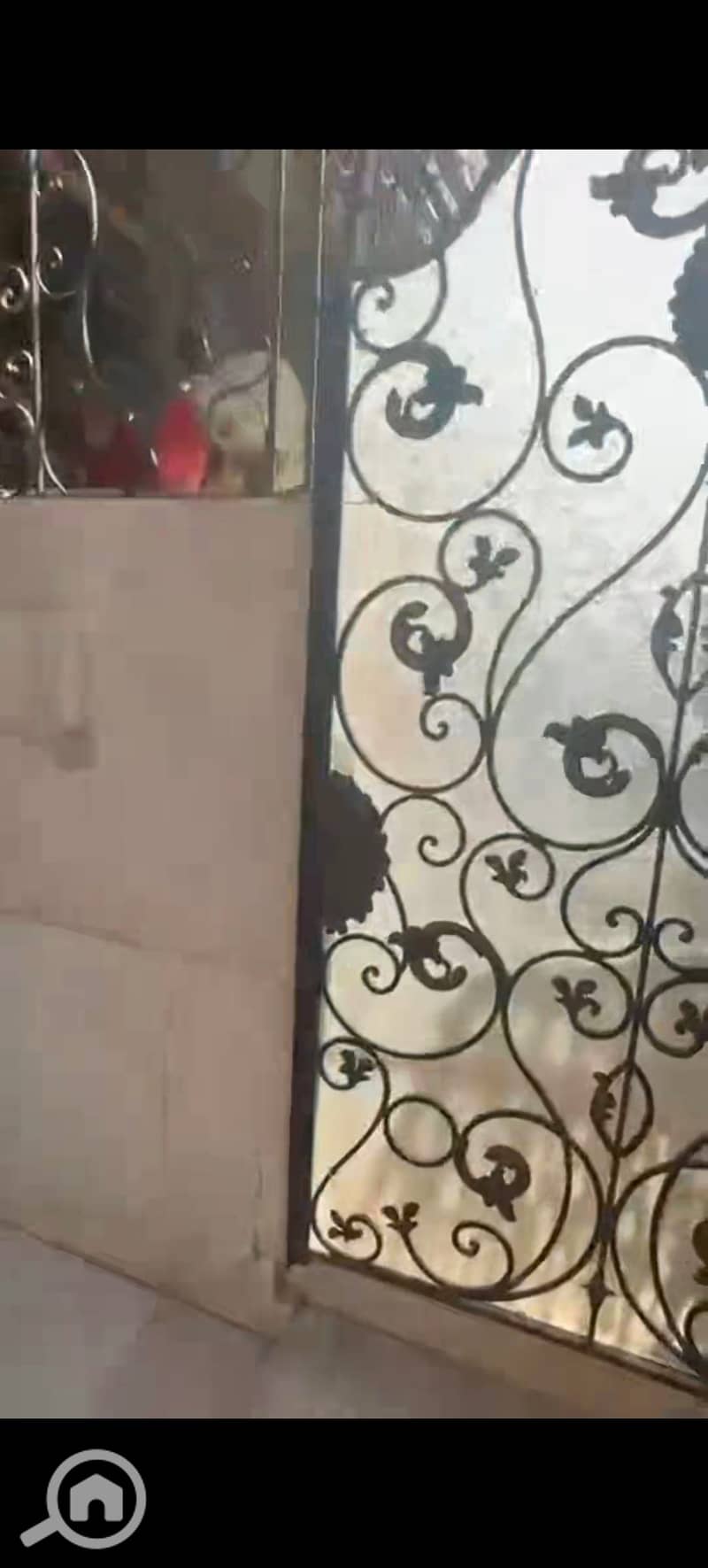 3 683906. jpg