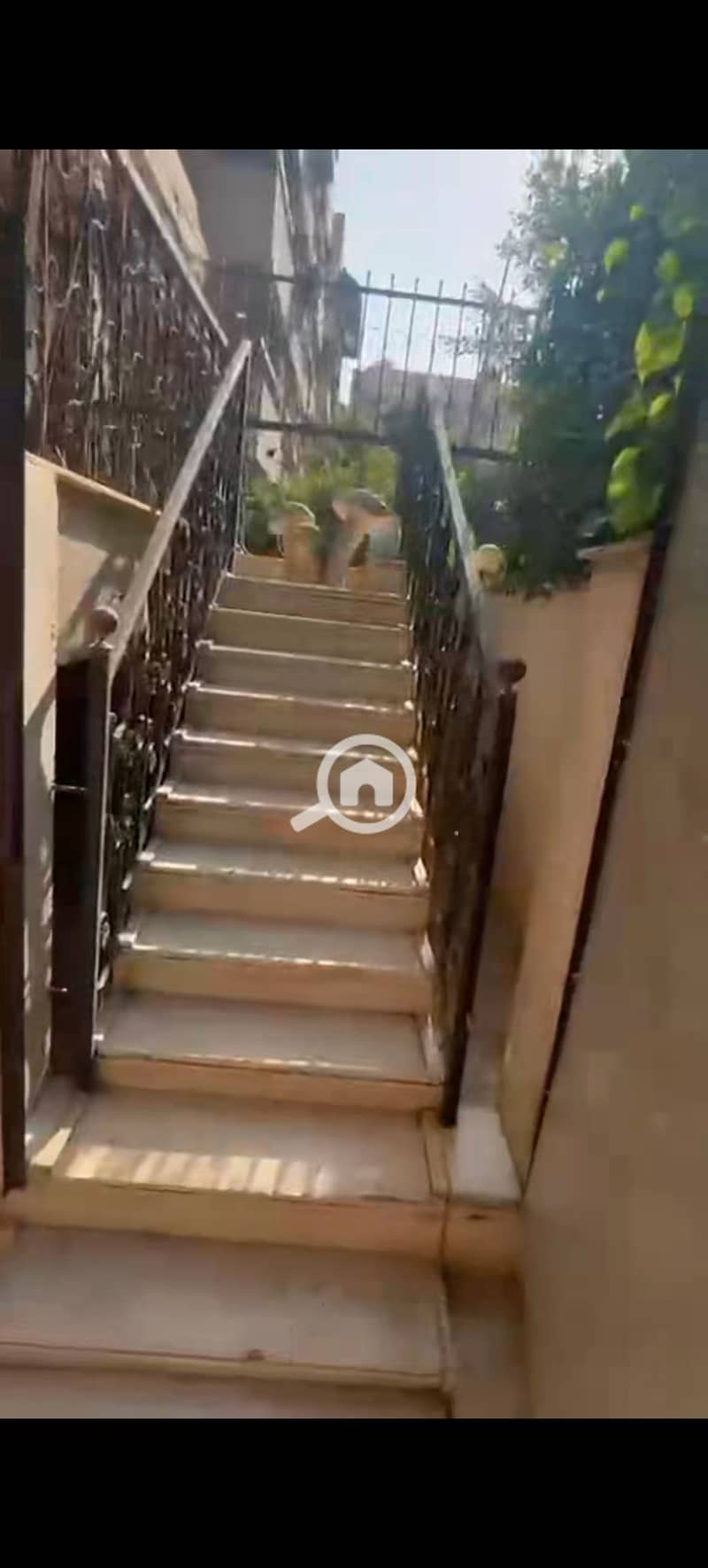 6 683907. jpg