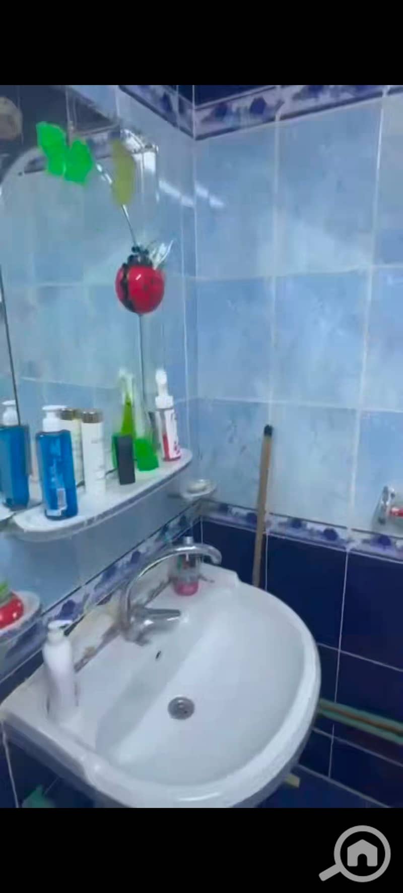 28 683931. jpg